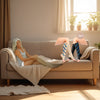 Comfy Socks 2x1 a 248 LEU