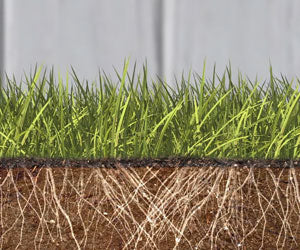 Grass Seed Mat a 69,99€