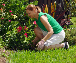 RXB Collagen 2x1 a 59,99€