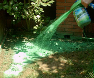 Aquagrazz a 59,99€