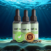 HairVigor 24 - 3 bottles