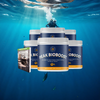 MOST POPULAR - 6 Bottles - Peak BioBoost