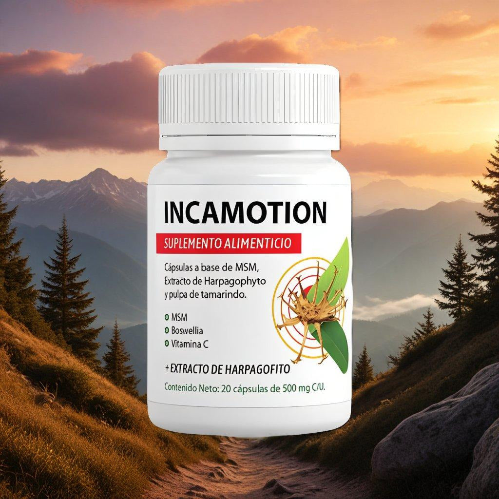IncaMotion