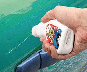 Car Care & Repair Kit a 199 LEU