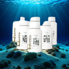 Women's The Works